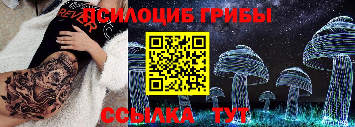 Юрга  Псилоцибиновые грибы Magic Shrooms  Вход с VPN 